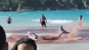 Reprodução / Redes sociais