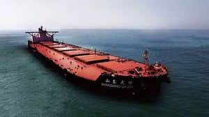 Navio MV Shandong da Zhi trouxe tripulantes infectados pela variante indiana ao Brasil, informa o G1 | Divulgação