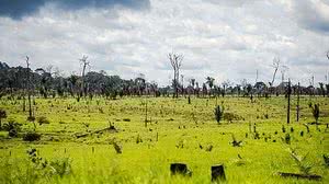 Marcelo Camargo/Agência Brasil