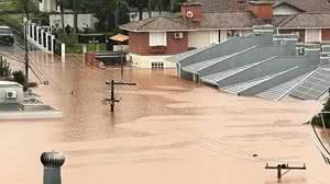 Reprodução/Internet