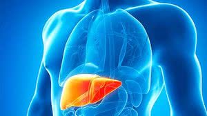 No Brasil, pelo menos 16 casos são investigados | Foto: Reprodução