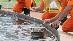 Flick/Agência Brasília