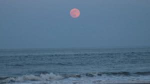 O nome Lua Cheia de Morango não tem relação com a coloração do astro, e sim com a época de colheita da fruta nos EUA | Barb Elkin / Shutterstock