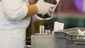 Decisão não se aplica a fiéis menores de 18 anos | Foto: Hemorio / Divulgação