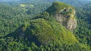 Foto: Reprodução/Redes Sociais