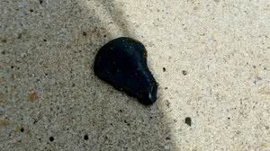 Foto: Secretaria de Turismo e Meio Ambiente de Pitimbu/Divulgação