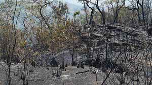 Juliana Arini/Folhapress