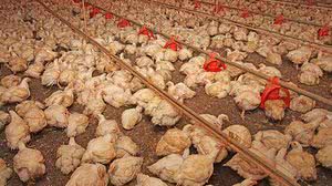 Imagem ilustrativa | Fotoarena / Folhapress