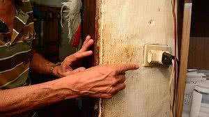 Paullo Almeida/Folha PE