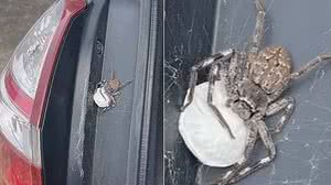 Foto: Page Not Found