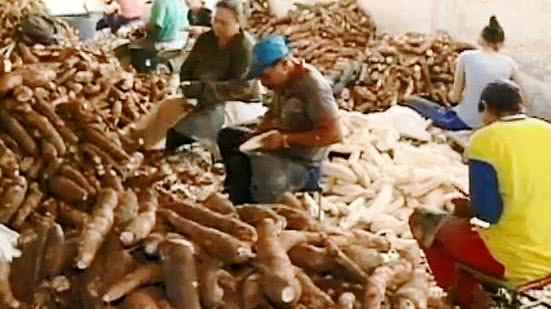 Série sobre o trabalho nas casas de farinha venceu premiação | Reprodução / TV Pajuçara