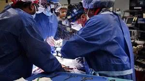 Faculdade de Medicina da Universidade de Maryland