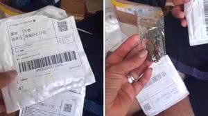 Imagem Em Maceió, dona de casa recebe sementes da China em pacote com celular; veja vídeo