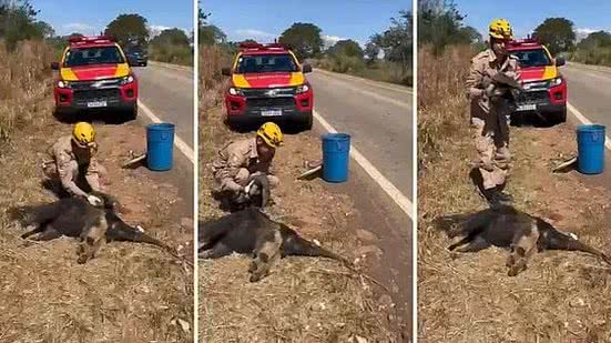 Divulgação / Corpo de Bombeiros