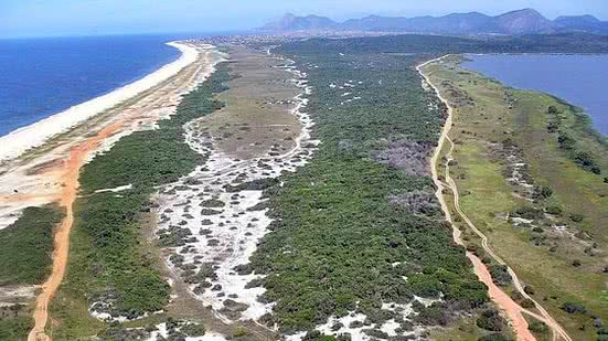 Decisão aponta risco de danos irreversíveis para a fauna e flora | Foto: Désirée Freire / Agência Brasil