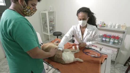 Divulgação / Assessoria