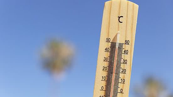 Foto: Reprodução/Freepik