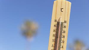 Foto: Reprodução/Freepik