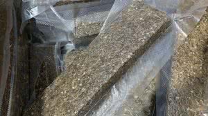 Hélio Góes/Rádio Pajuçara FM