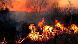 REprodução / Imperatriz Notícias