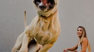 Ensaio bombou na web | Reprodução / Nicolas Carrelo