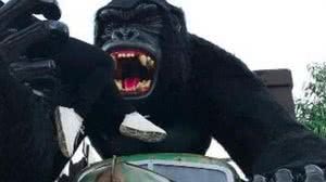 O gorila é um dos pontos onde os visitantes fazem fotos no parque | Reprodução/Beto Carrero World