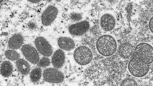 Cynthia S / Goldsmith