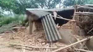 Manada de elefantes destruiu a casa de mulher que morreu atacada pelos mesmos animais | Foto: Reprodução