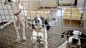 Fabio Pozzebom / Agência Brasil