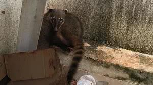 Foto: Reprodução/Arquivo Pessoal