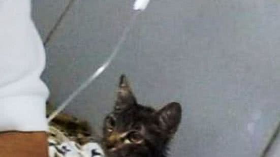 Melissa segue internada | Reprodução / instagram