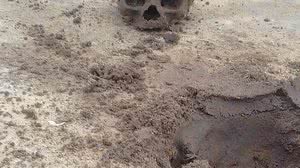 Imagem Crianças encontram crânio na periferia de Marechal Deodoro