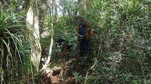 Divulgação / Corpo de Bombeiros