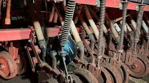 Scheila Marini/Portal Nova Santa Rosa