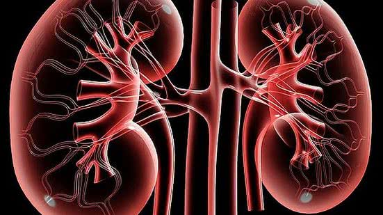 Foto: Reprodução/Pixabay