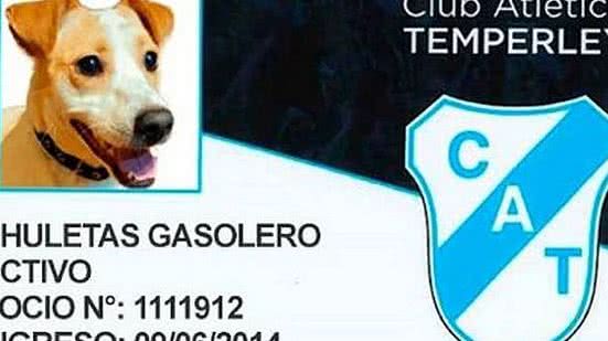 Divulgação / Temperley