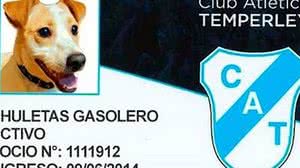 Divulgação / Temperley