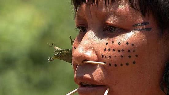 Foto: EBC/ TV Brasil