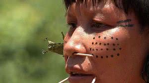 Foto: EBC/ TV Brasil