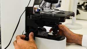 Ravena Rosa - Agência Brasil