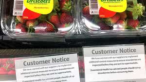 Reprodução/New York Times