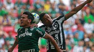 Vitor Silva / Botafogo