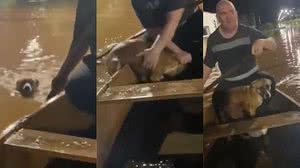 Reprodução / Twitter