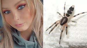 Reprodução / Redes Sociais / Wikipedia