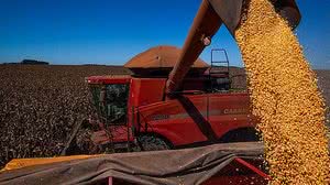 Foto: Wenderson Araújo / CNA