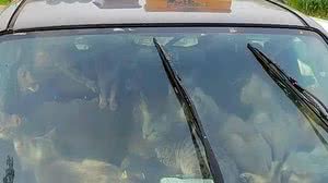 Fox 9 / Reprodução