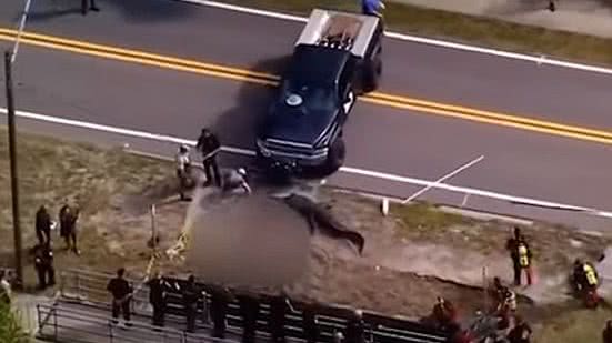 Reprodução / Redes sociais