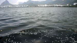 Tânia Rego/Agência Brasil