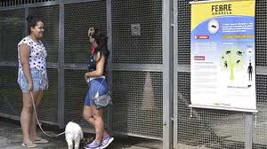 Rovena Rosa/Agência Brasil