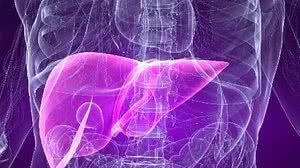 Os sintomas são dor abdominal, diarreia, vômitos e icterícia | Foto: Reprodução/ThinkStock